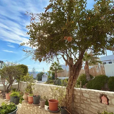 Rodia Apartament *